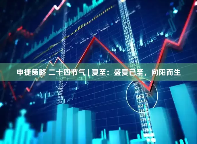 申捷策略 二十四节气 | 夏至：盛夏已至，向阳而生
