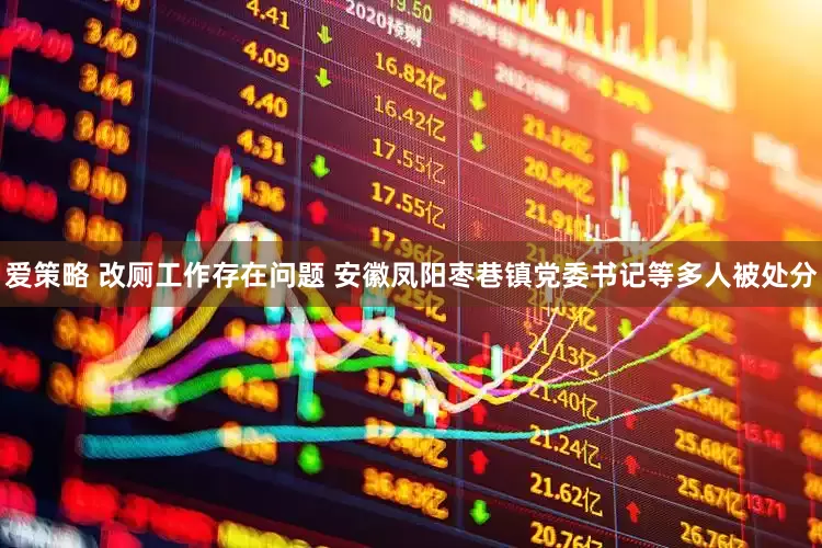 爱策略 改厕工作存在问题 安徽凤阳枣巷镇党委书记等多人被处分