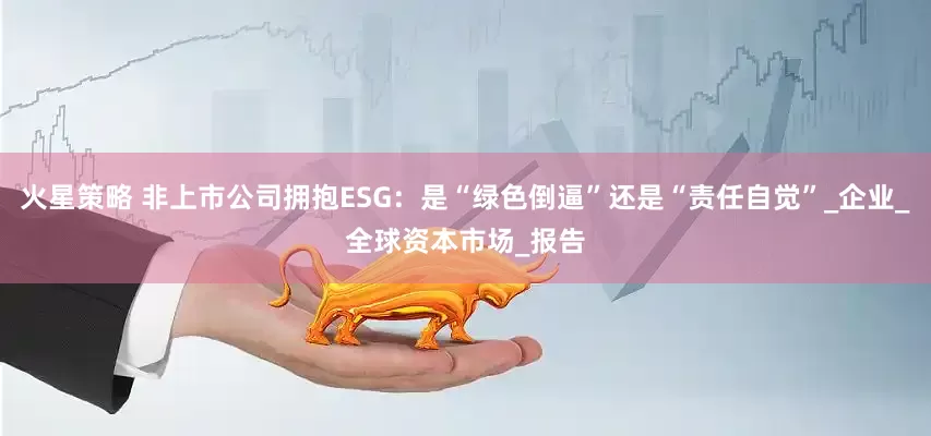 火星策略 非上市公司拥抱ESG：是“绿色倒逼”还是“责任自觉”_企业_全球资本市场_报告