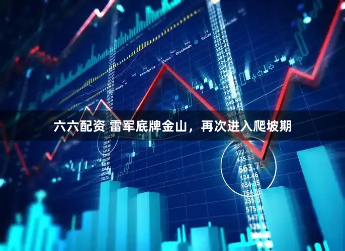 六六配资 雷军底牌金山，再次进入爬坡期