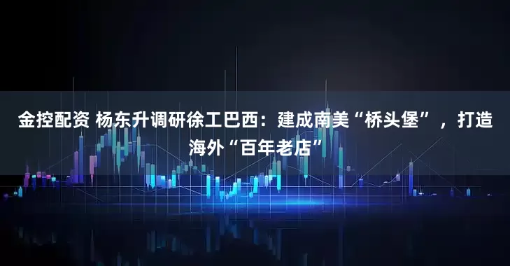 金控配资 杨东升调研徐工巴西：建成南美“桥头堡” ，打造海外“百年老店”